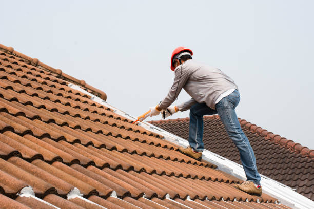 Best Gutter Installation and Repair  in Fennville, MI