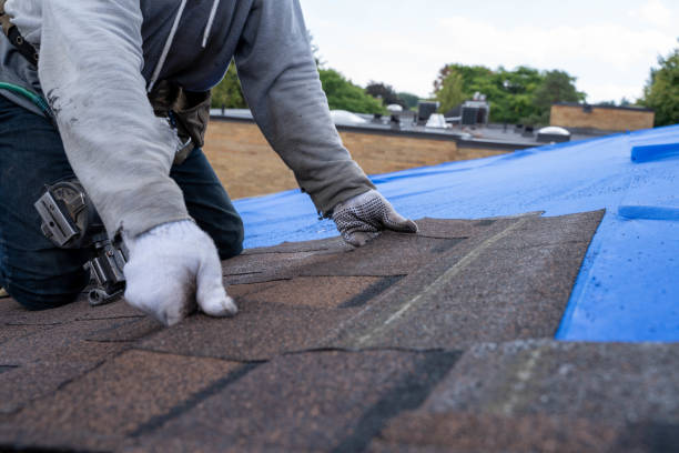 4 Ply Roofing in Fennville, MI