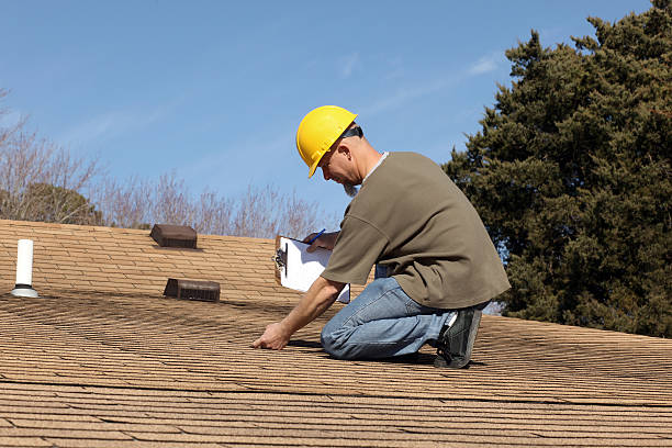 Best Roof Moss and Algae Removal  in Fennville, MI