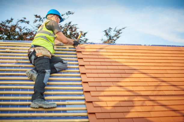 Reliable Fennville, MI  Roofing repair and installation Solutions